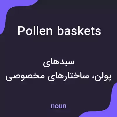 معنی pollen baskets به فارسی معنی pollen baskets به فارسی