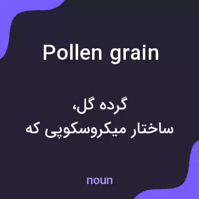 معنی pollen grain به فارسی معنی pollen grain به فارسی