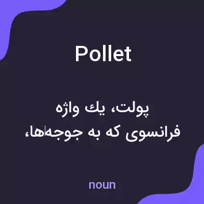 معنی pollet به فارسی معنی pollet به فارسی