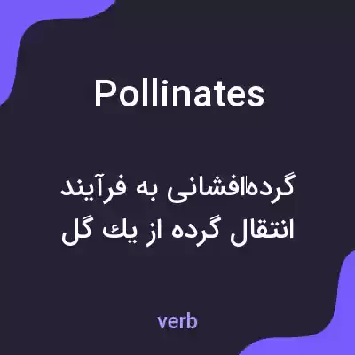 معنی pollinates به فارسی معنی pollinates به فارسی