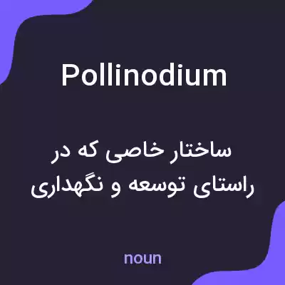 معنی pollinodium به فارسی معنی pollinodium به فارسی