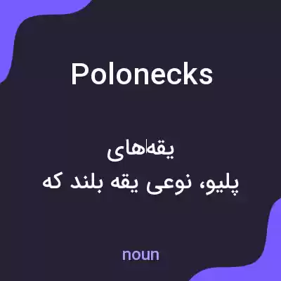 معنی polonecks به فارسی معنی polonecks به فارسی