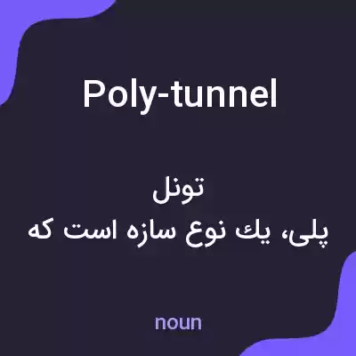 معنی poly-tunnel به فارسی معنی poly-tunnel به فارسی