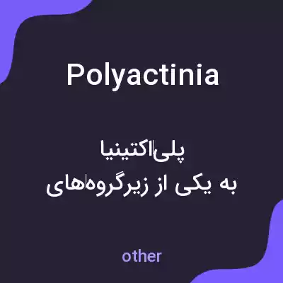 معنی polyactinia به فارسی معنی polyactinia به فارسی