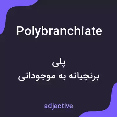 معنی polybranchiate به فارسی معنی polybranchiate به فارسی