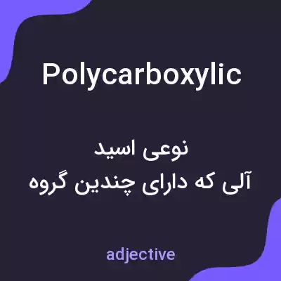 معنی polycarboxylic به فارسی معنی polycarboxylic به فارسی