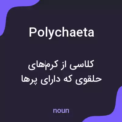معنی polychaeta به فارسی معنی polychaeta به فارسی