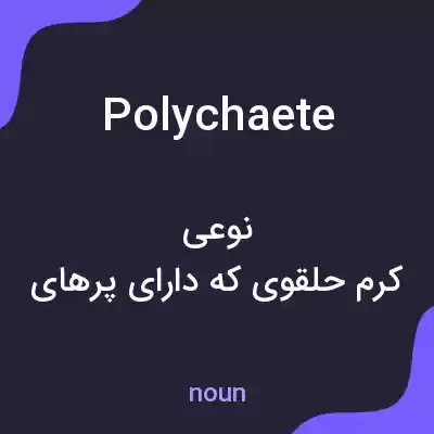 معنی polychaete به فارسی معنی polychaete به فارسی