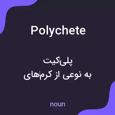 معنی polychete به فارسی معنی polychete به فارسی