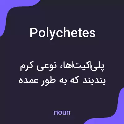 معنی polychetes به فارسی معنی polychetes به فارسی