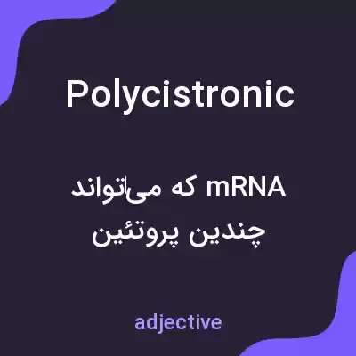 معنی polycistronic به فارسی معنی polycistronic به فارسی