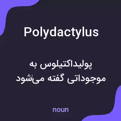 معنی polydactylus به فارسی معنی polydactylus به فارسی