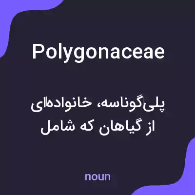 معنی polygonaceae به فارسی معنی polygonaceae به فارسی