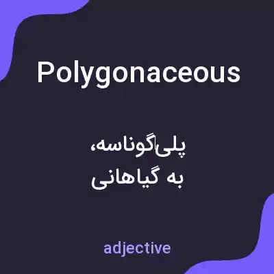 معنی polygonaceous به فارسی معنی polygonaceous به فارسی