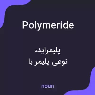 معنی polymeride به فارسی معنی polymeride به فارسی