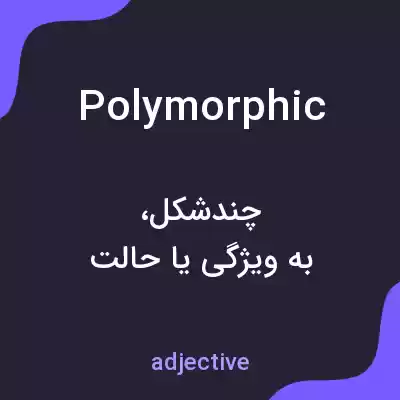 معنی polymorphic به فارسی معنی polymorphic به فارسی