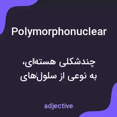 معنی polymorphonuclear به فارسی معنی polymorphonuclear به فارسی