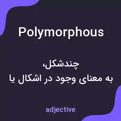 معنی polymorphous به فارسی معنی polymorphous به فارسی