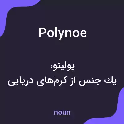 معنی polynoe به فارسی معنی polynoe به فارسی