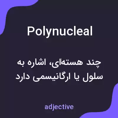 معنی polynucleal به فارسی معنی polynucleal به فارسی