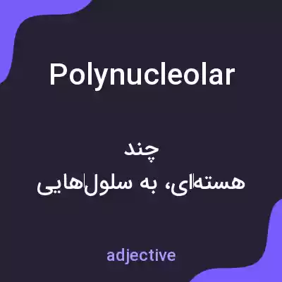 معنی polynucleolar به فارسی