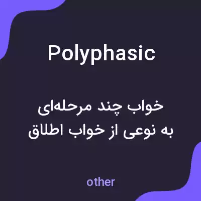 معنی polyphasic به فارسی معنی polyphasic به فارسی
