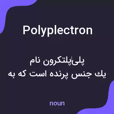 معنی polyplectron به فارسی