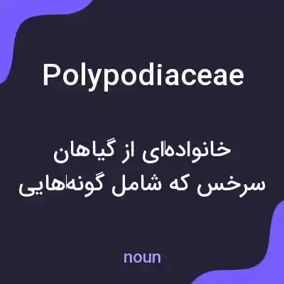 معنی polypodiaceae به فارسی معنی polypodiaceae به فارسی