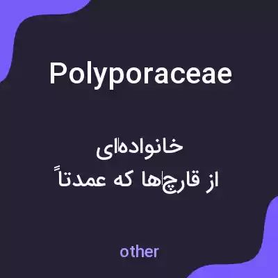 معنی polyporaceae به فارسی معنی polyporaceae به فارسی