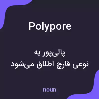 معنی polypore به فارسی معنی polypore به فارسی