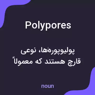 معنی polypores به فارسی معنی polypores به فارسی