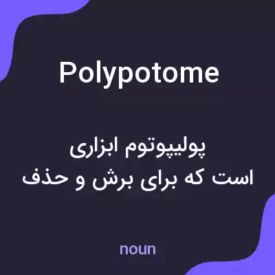 معنی polypotome به فارسی معنی polypotome به فارسی