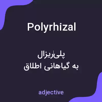 معنی polyrhizal به فارسی معنی polyrhizal به فارسی