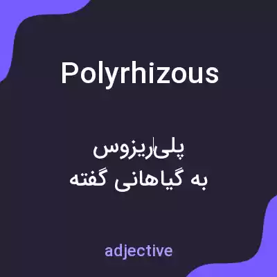 معنی polyrhizous به فارسی معنی polyrhizous به فارسی
