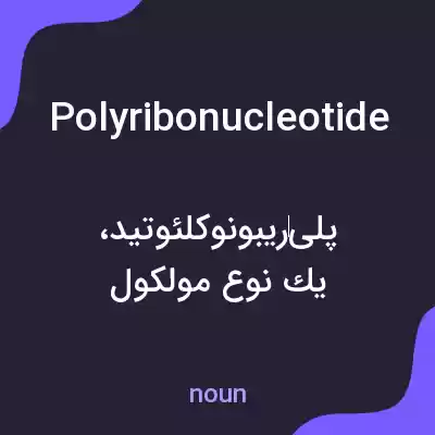 معنی polyribonucleotide به فارسی معنی polyribonucleotide به فارسی