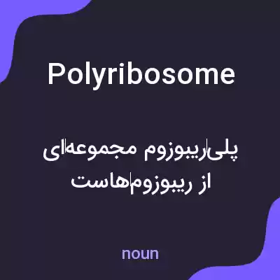 معنی polyribosome به فارسی معنی polyribosome به فارسی
