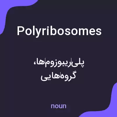 معنی polyribosomes به فارسی معنی polyribosomes به فارسی
