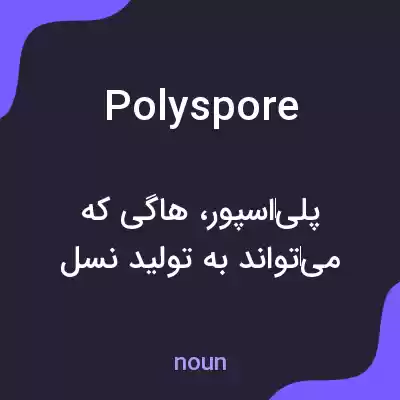 معنی polyspore به فارسی معنی polyspore به فارسی