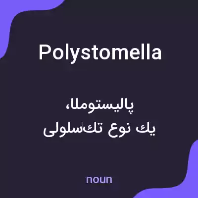معنی polystomella به فارسی