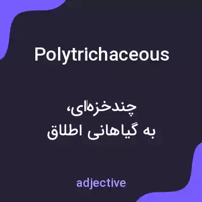 معنی polytrichaceous به فارسی معنی polytrichaceous به فارسی