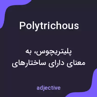 معنی polytrichous به فارسی معنی polytrichous به فارسی