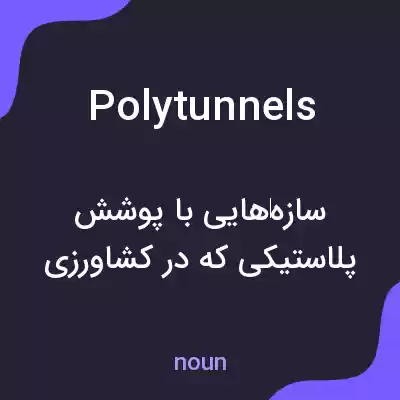 معنی polytunnels به فارسی معنی polytunnels به فارسی