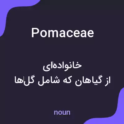 معنی pomaceae به فارسی