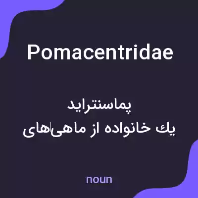 معنی pomacentridae به فارسی معنی pomacentridae به فارسی