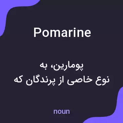 معنی pomarine به فارسی