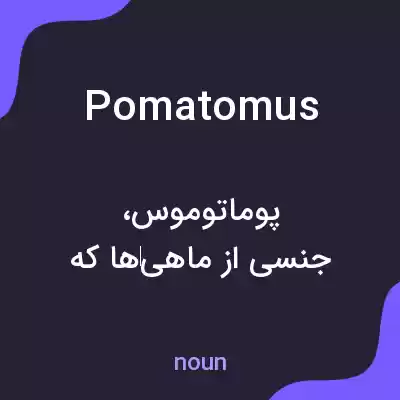 معنی pomatomus به فارسی معنی pomatomus به فارسی