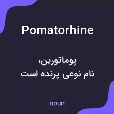معنی pomatorhine به فارسی معنی pomatorhine به فارسی