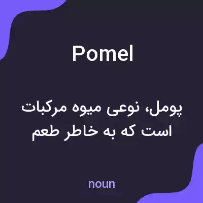 معنی pomel به فارسی معنی pomel به فارسی