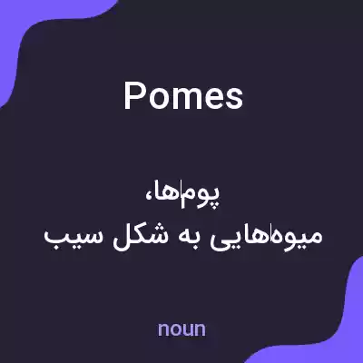 معنی pomes به فارسی معنی pomes به فارسی