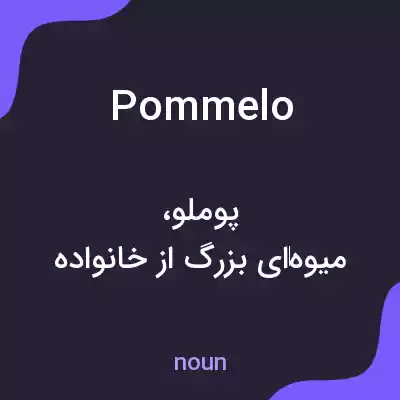 معنی pommelo به فارسی معنی pommelo به فارسی
